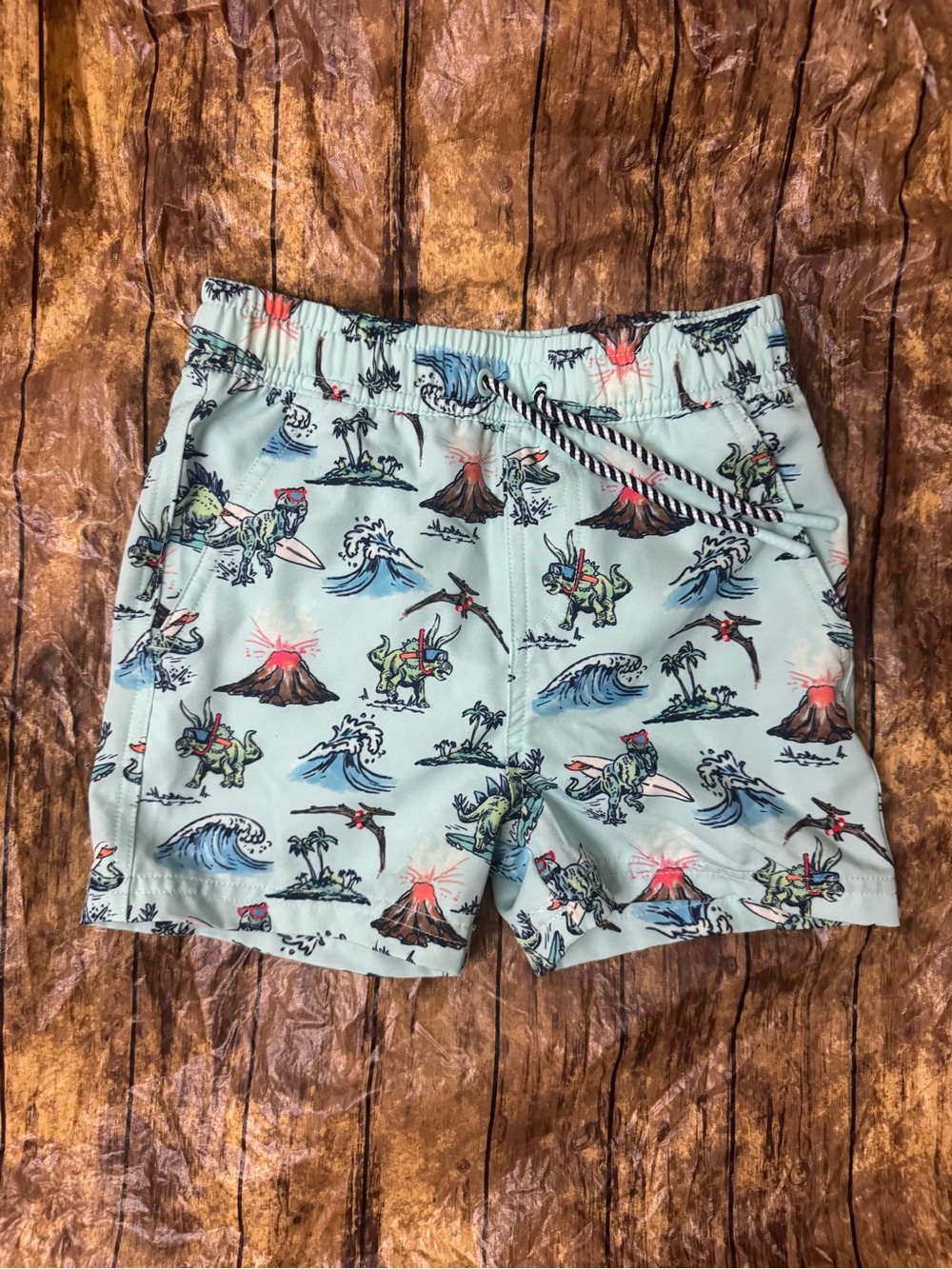 Boys Andy & Evan Dino Surf Swim Shorts Size 5